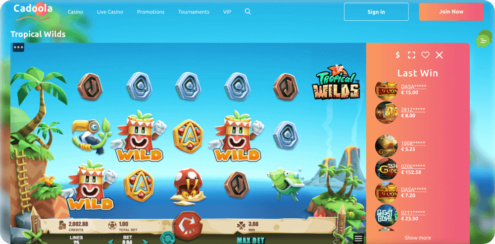 Rabcat Gaming Tropical Wilds Slot Game Microgaming